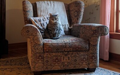 Contratos de renta antigua. La amortización, doble gasto deducible en el IRPF.