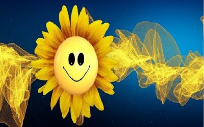 Instalación placas solares en vivienda. Tipo de IVA aplicable.