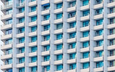 Soc gran tenidor? Obligacions.